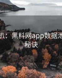 独家深扒：黑料网app数据泄露爆火秘诀
