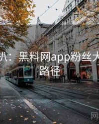 独家深扒：黑料网app粉丝大战传播路径