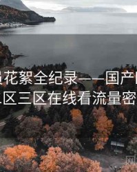 独到演员花絮全纪录——国产欧美一区二区三区在线看流量密码
